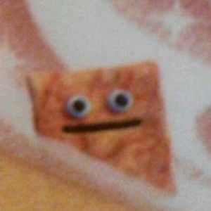 Meet your Posher, Bambii